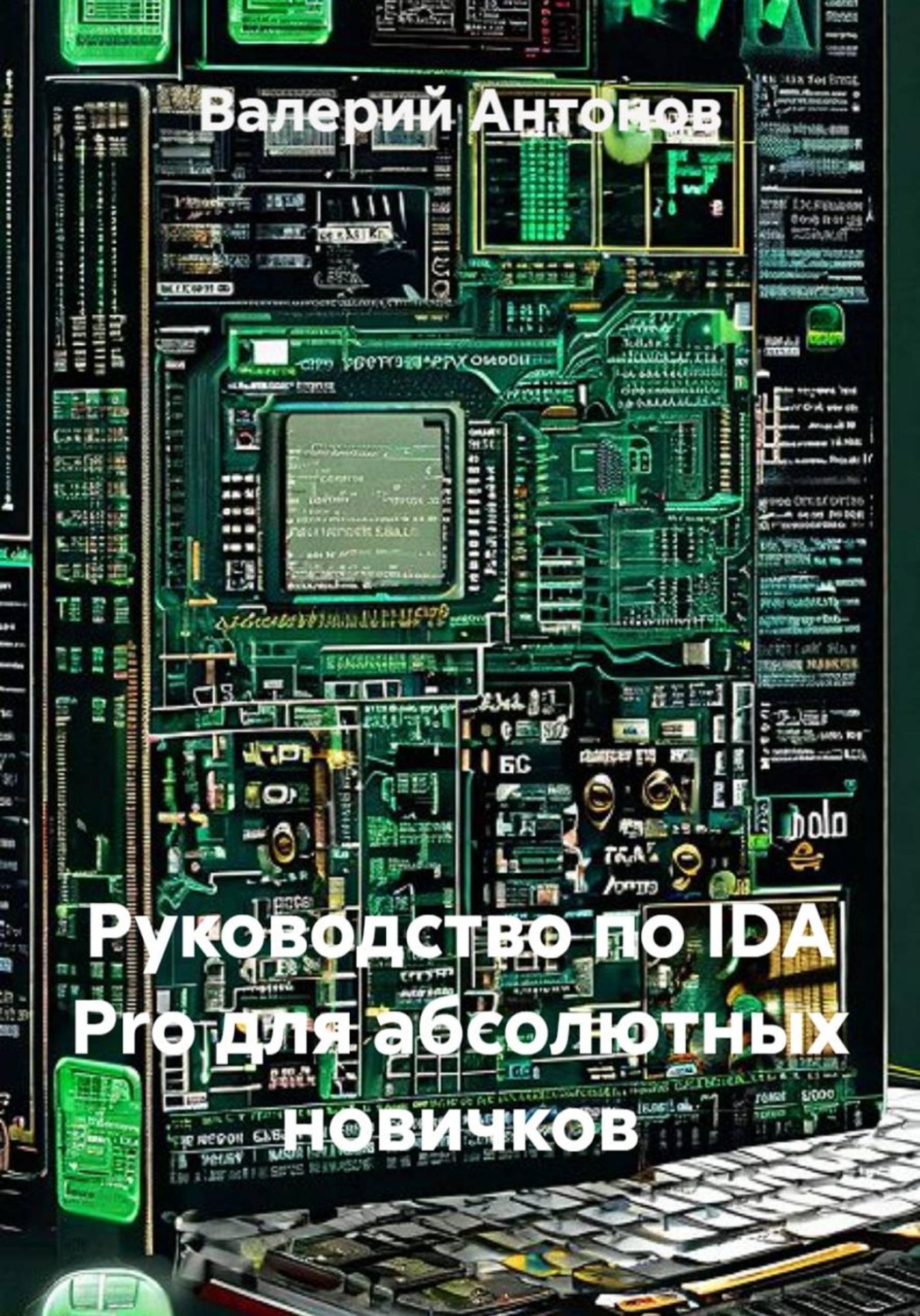 Обложка книги «Руководство по IDA Pro для абсолютных новичков»