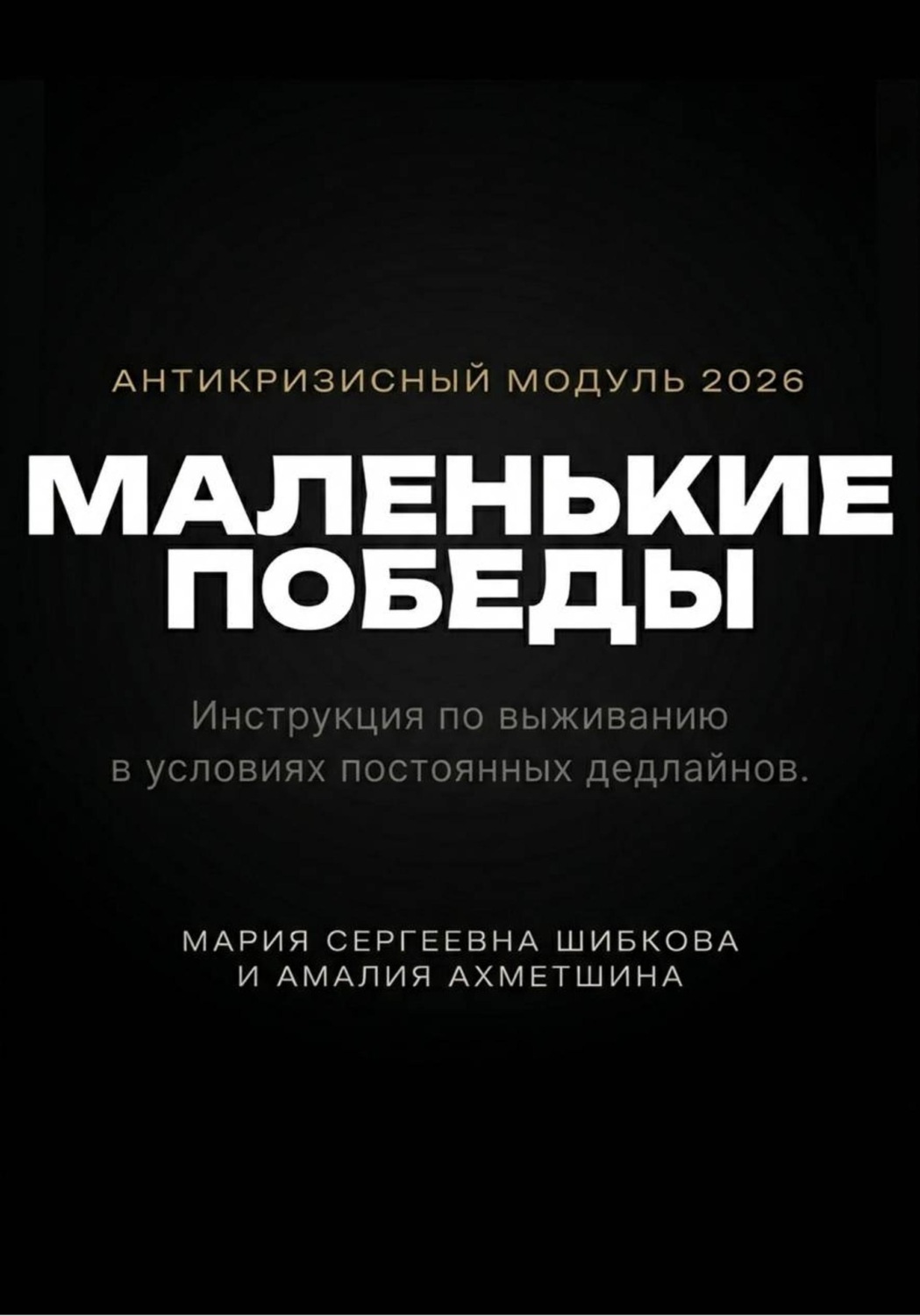 Обложка книги «Маленькие победы»