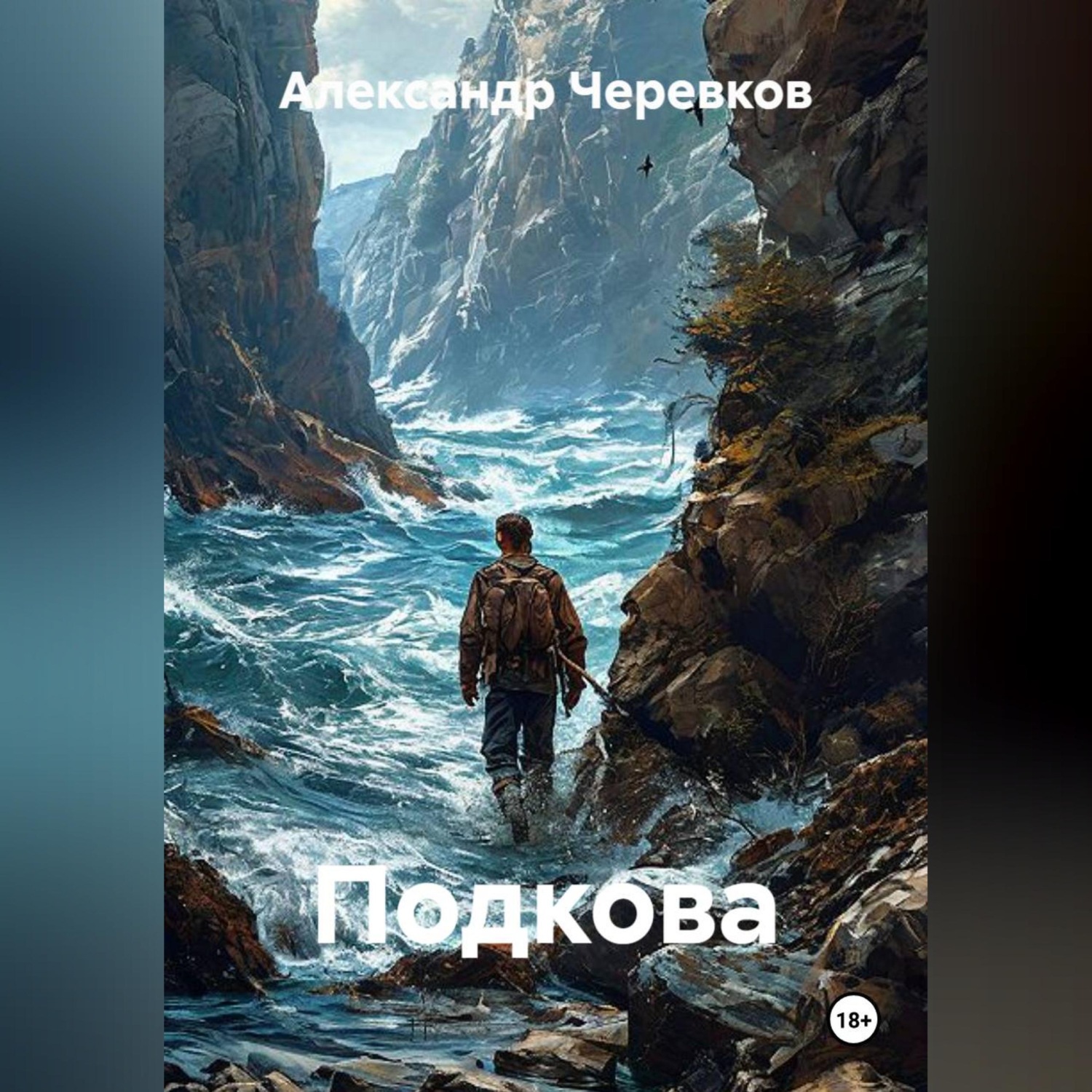 Обложка книги «Подкова»