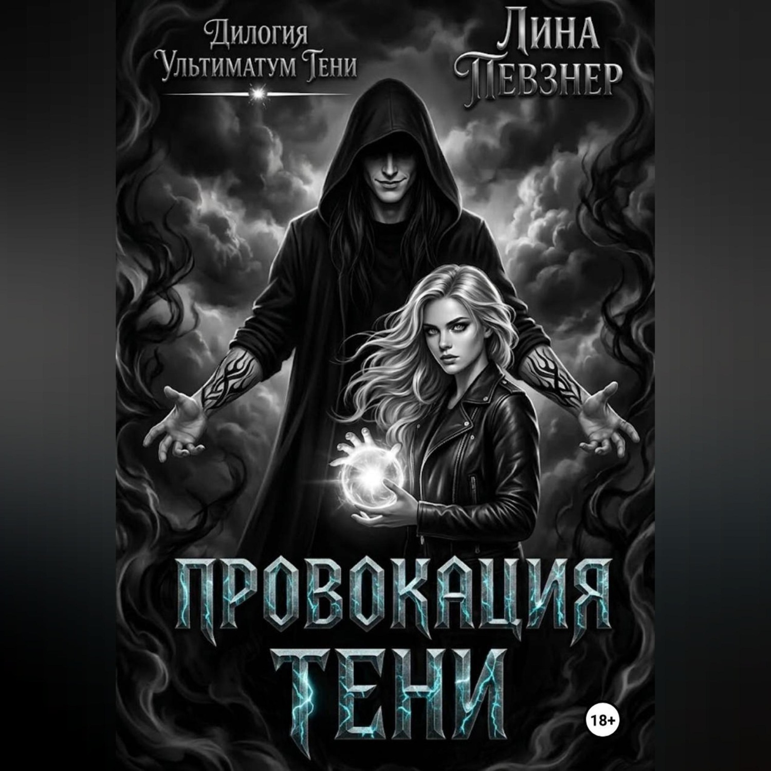 Обложка книги «Провокация тени»