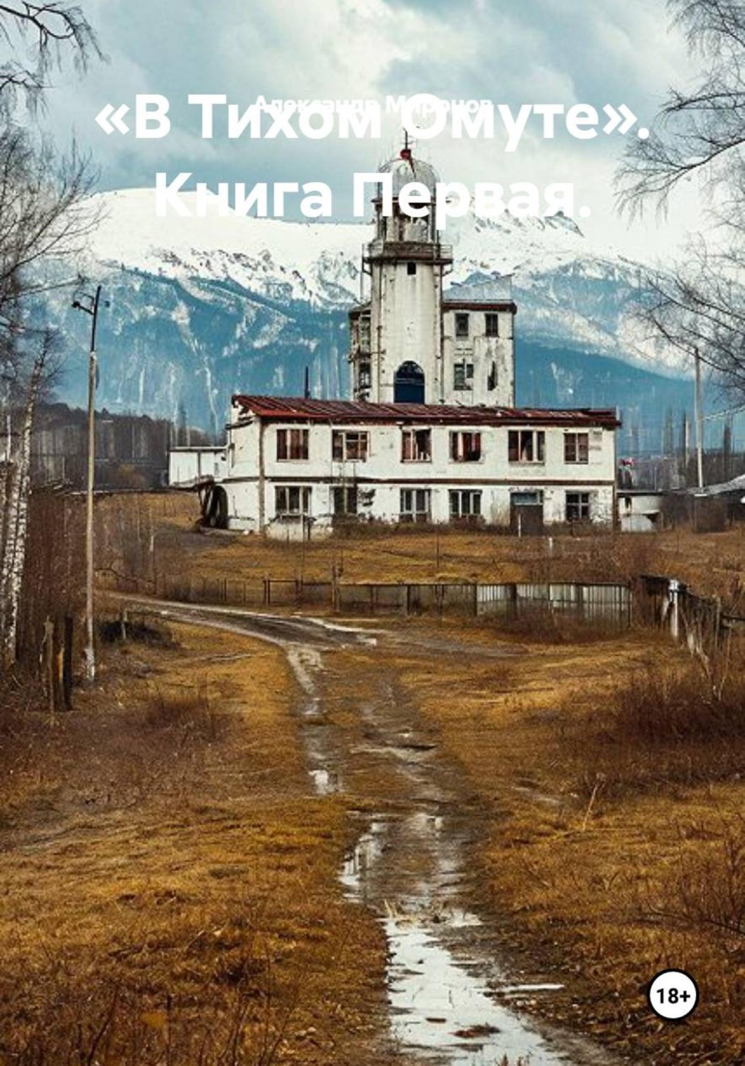 Обложка книги «В тихом омуте. Книга первая»
