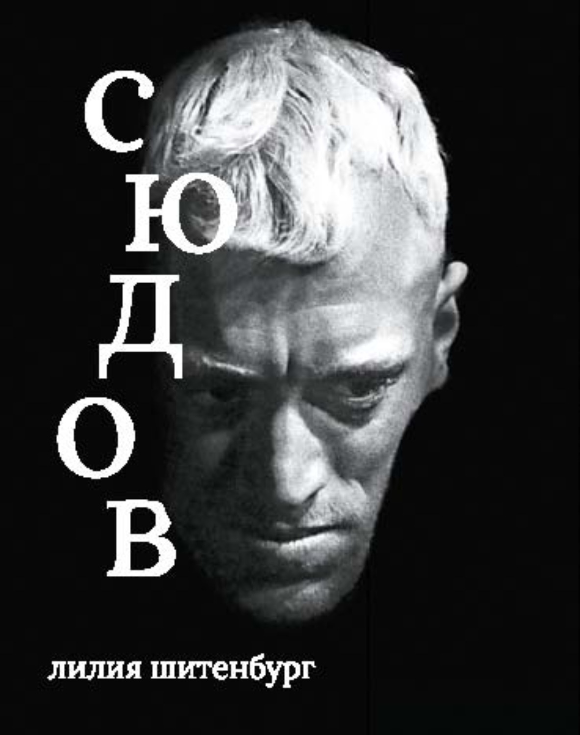 Обложка книги «Макс фон Сюдов»