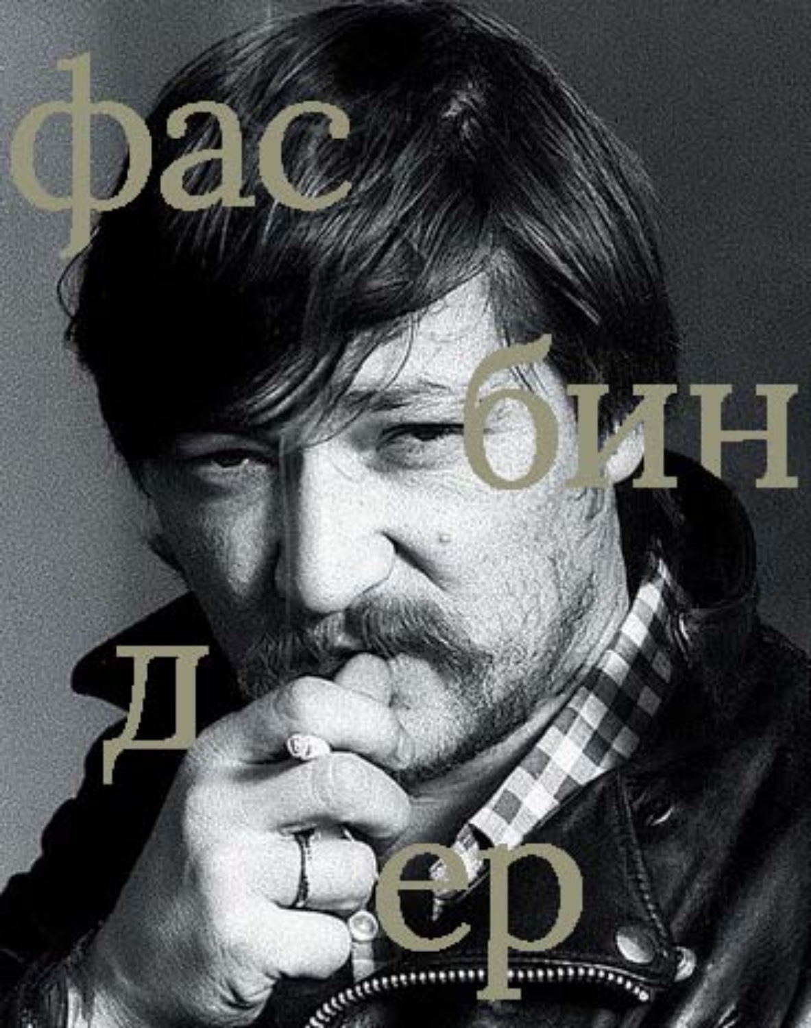 Обложка книги «Райнер Вернер Фасбиндер»