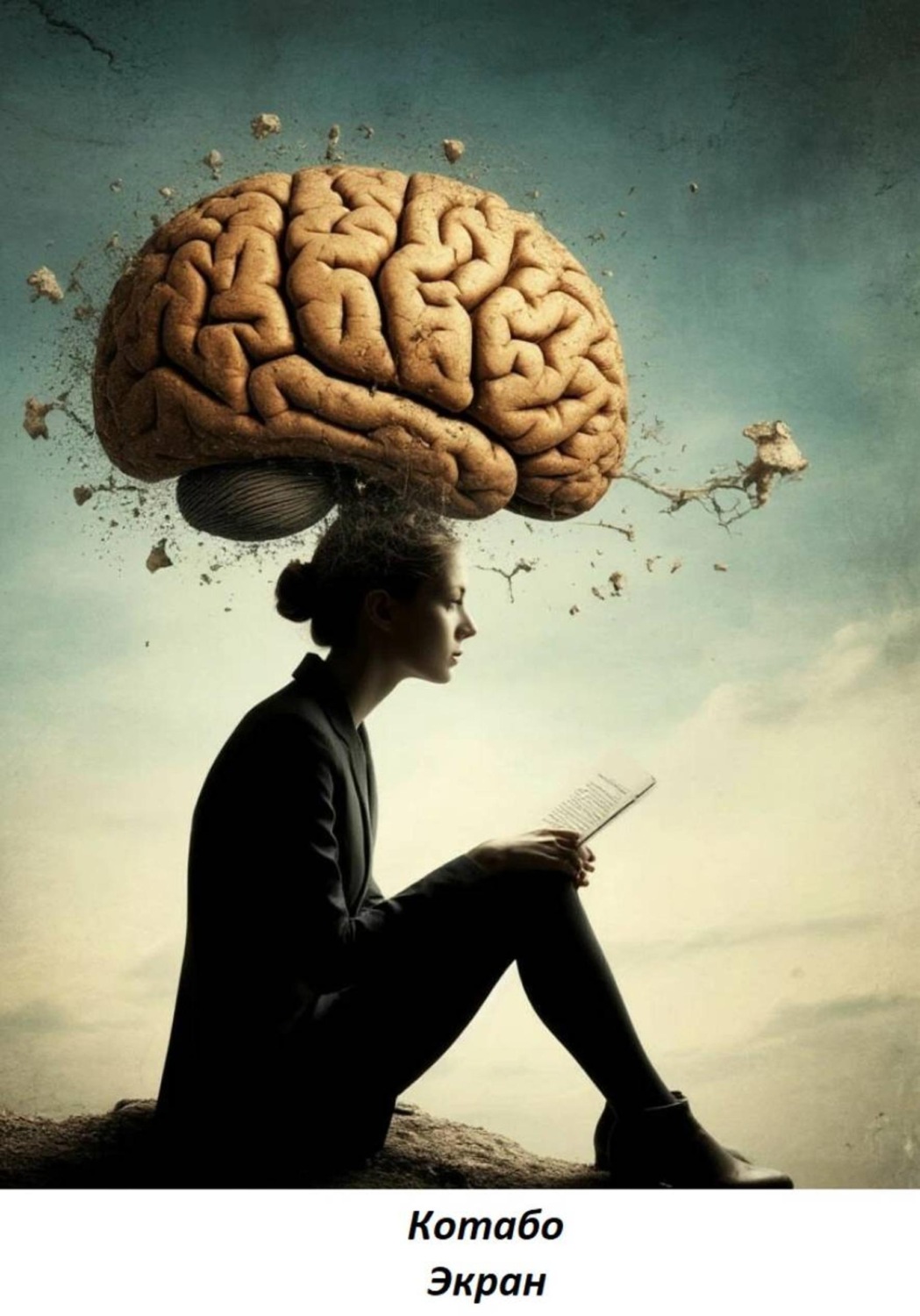 Обложка книги «Экран»