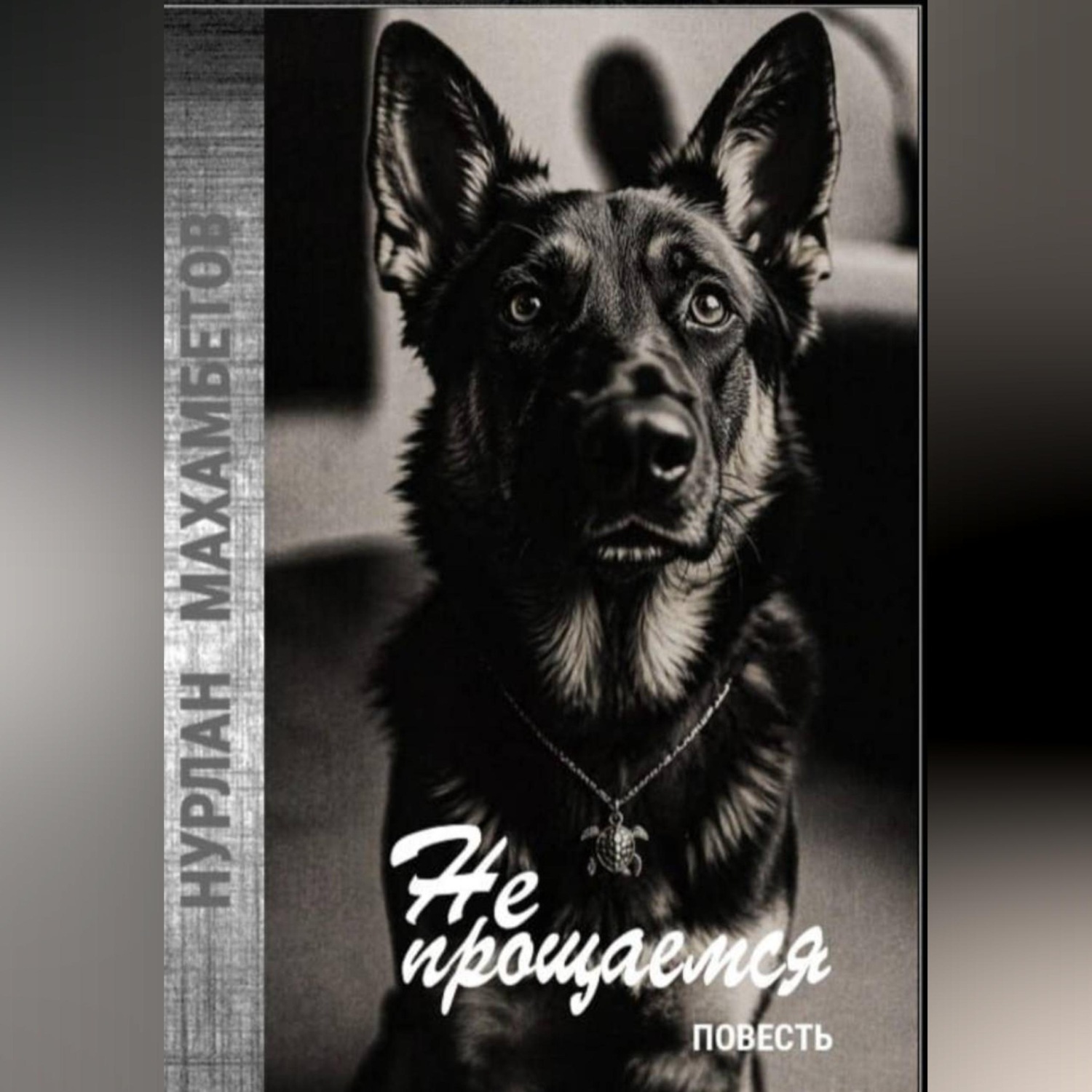 Обложка книги «Не прощаемся»
