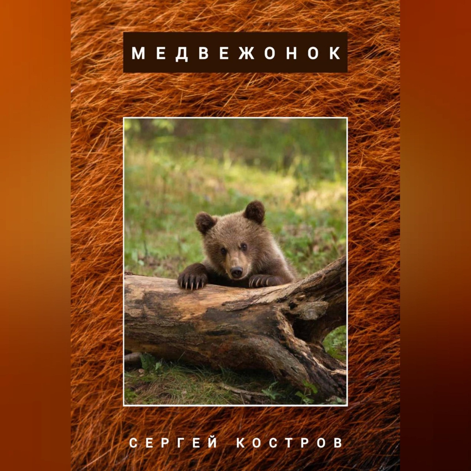 Обложка книги «Медвежонок»