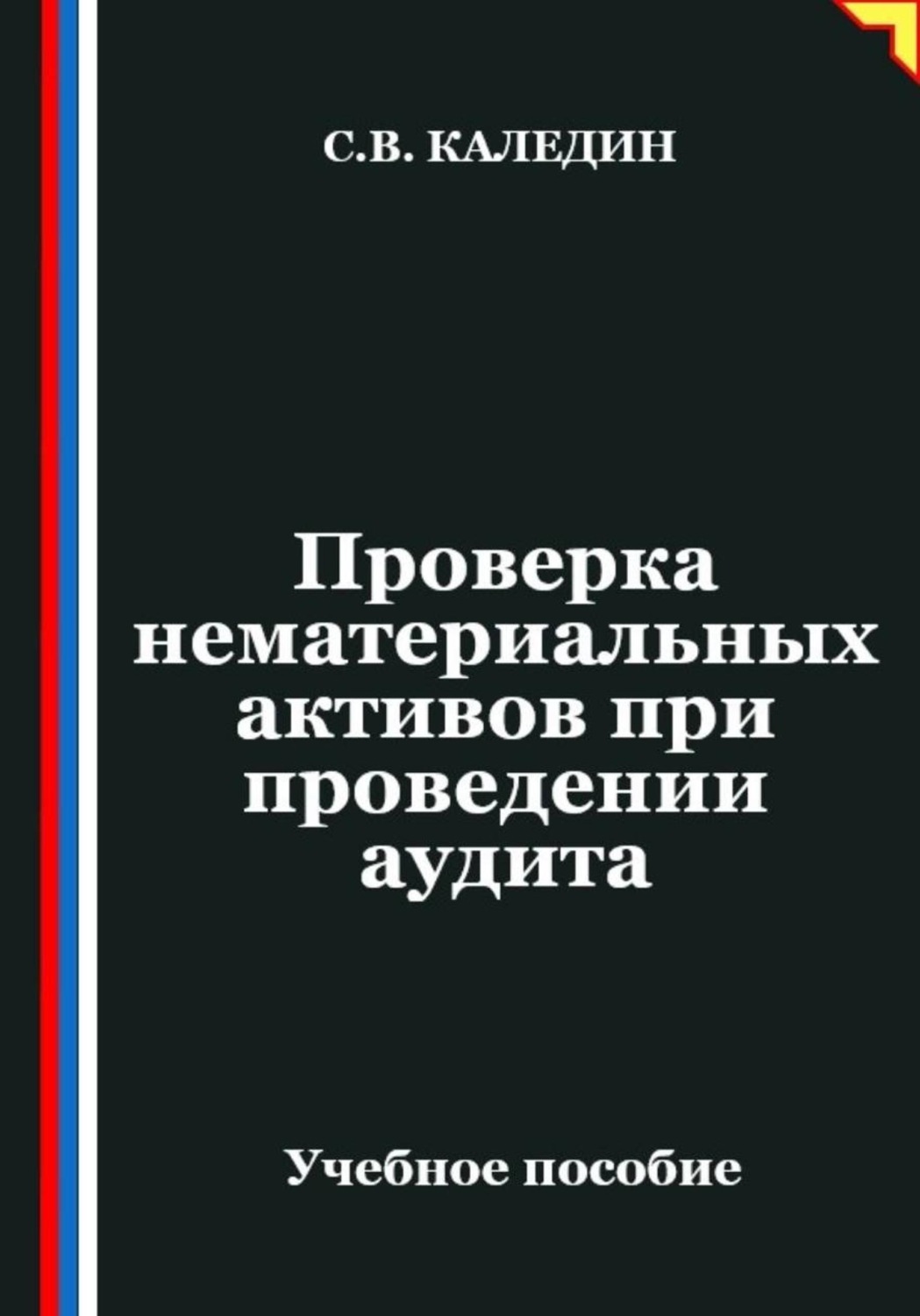 Обложка книги «Проверка нематериальных активов при проведении аудита»