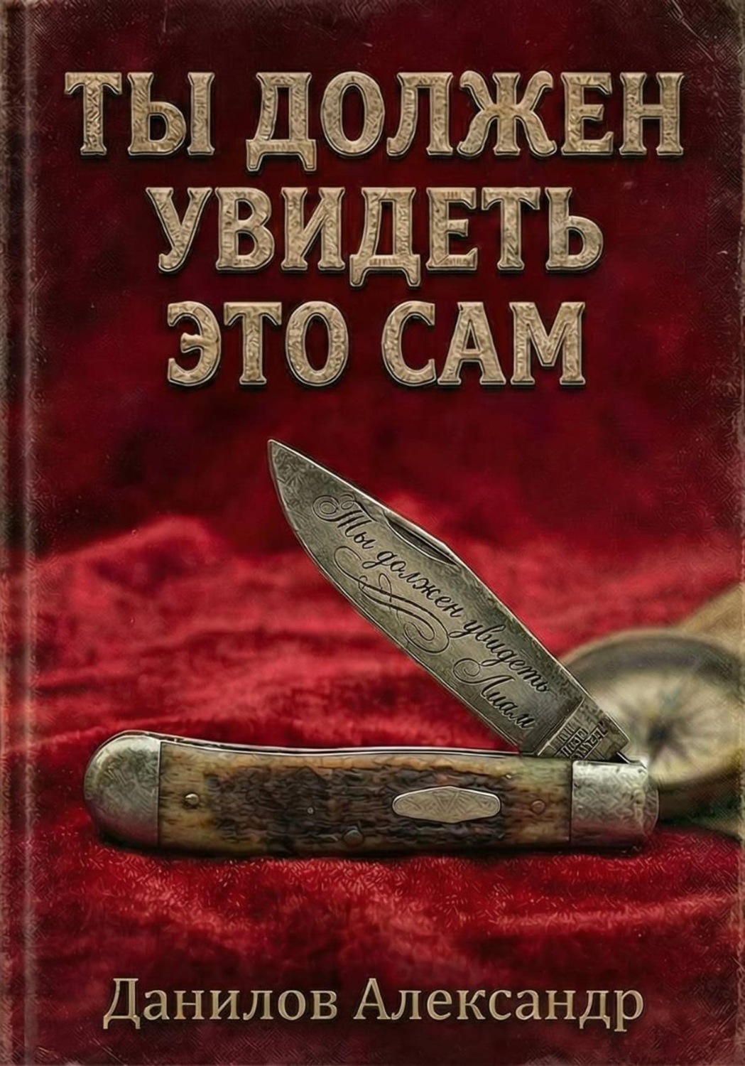 Обложка книги «Ты должен увидеть это сам»