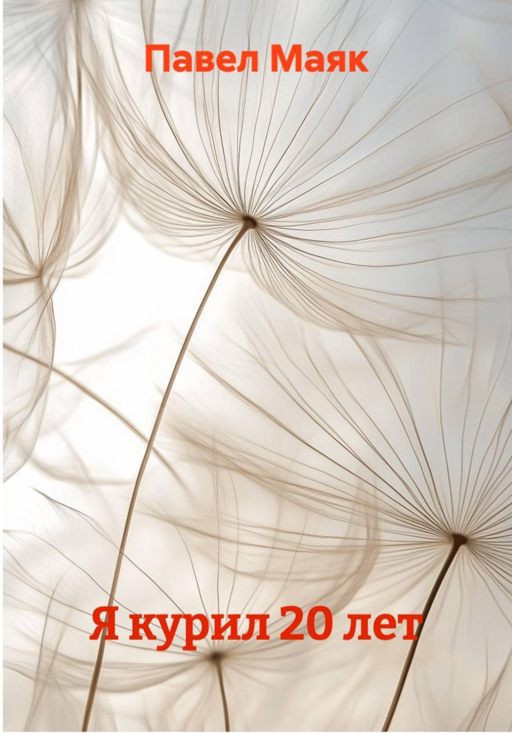 Обложка книги «Я курил 20 лет»