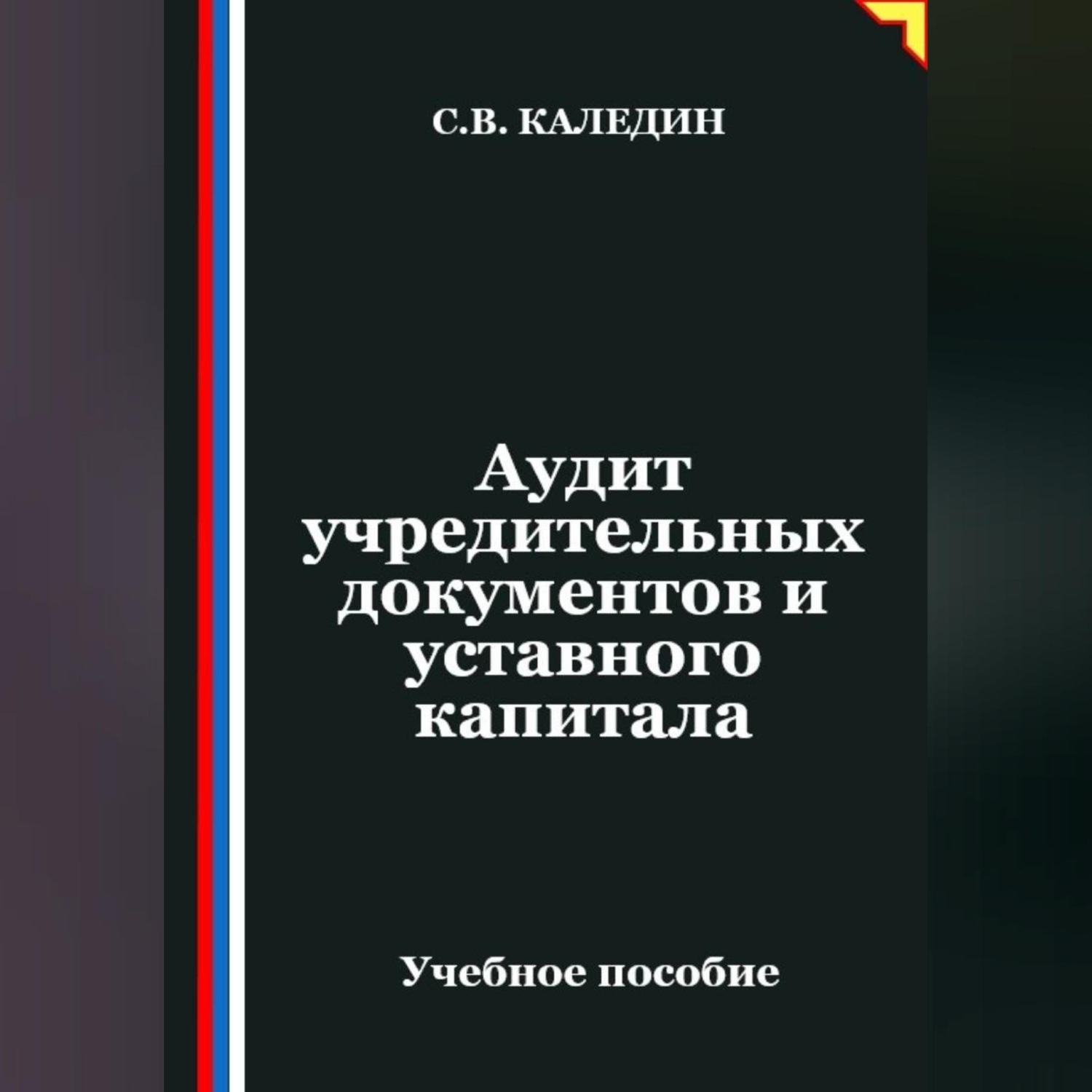 Обложка книги «Аудит учредительных документов и уставного капитала»
