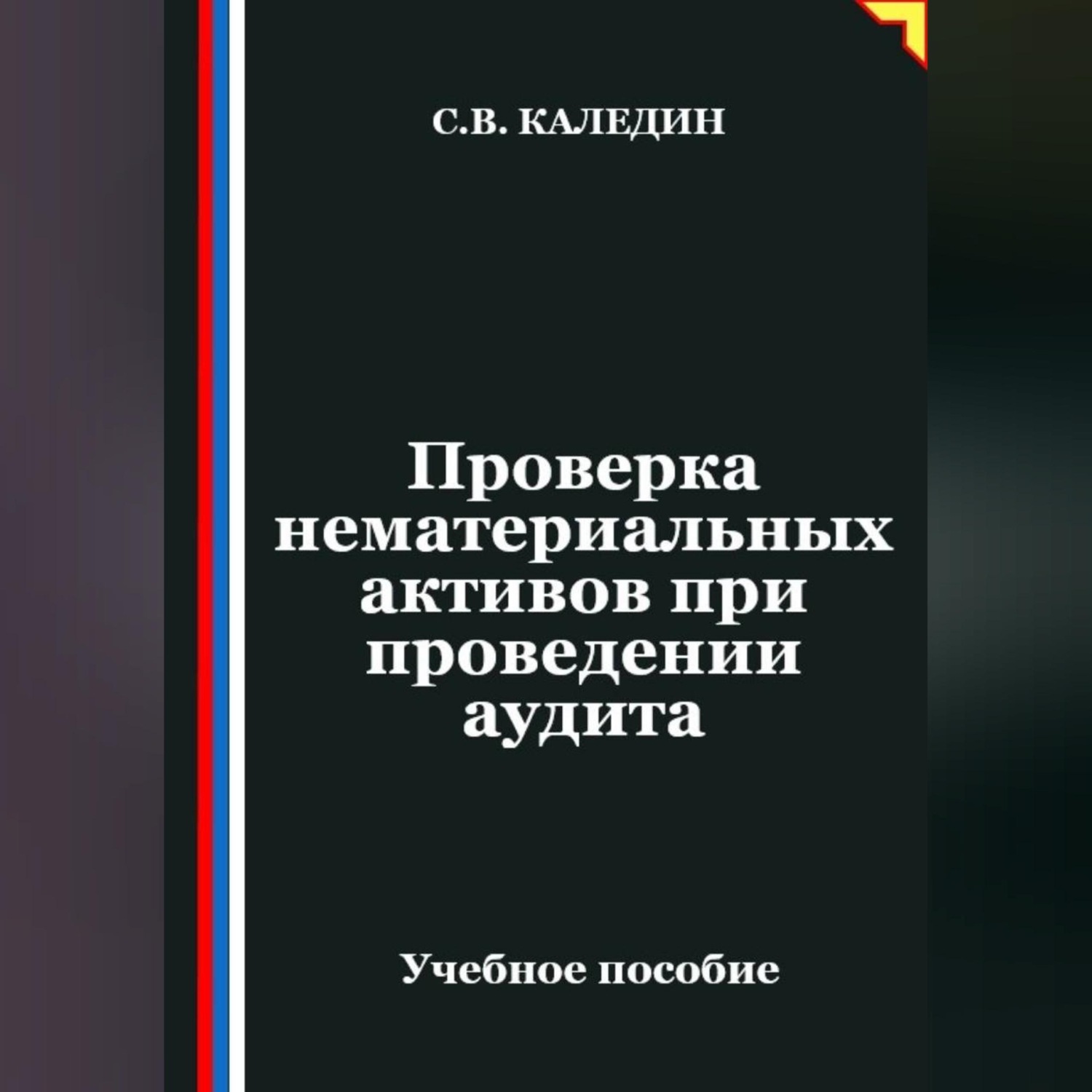 Обложка книги «Проверка нематериальных активов при проведении аудита»