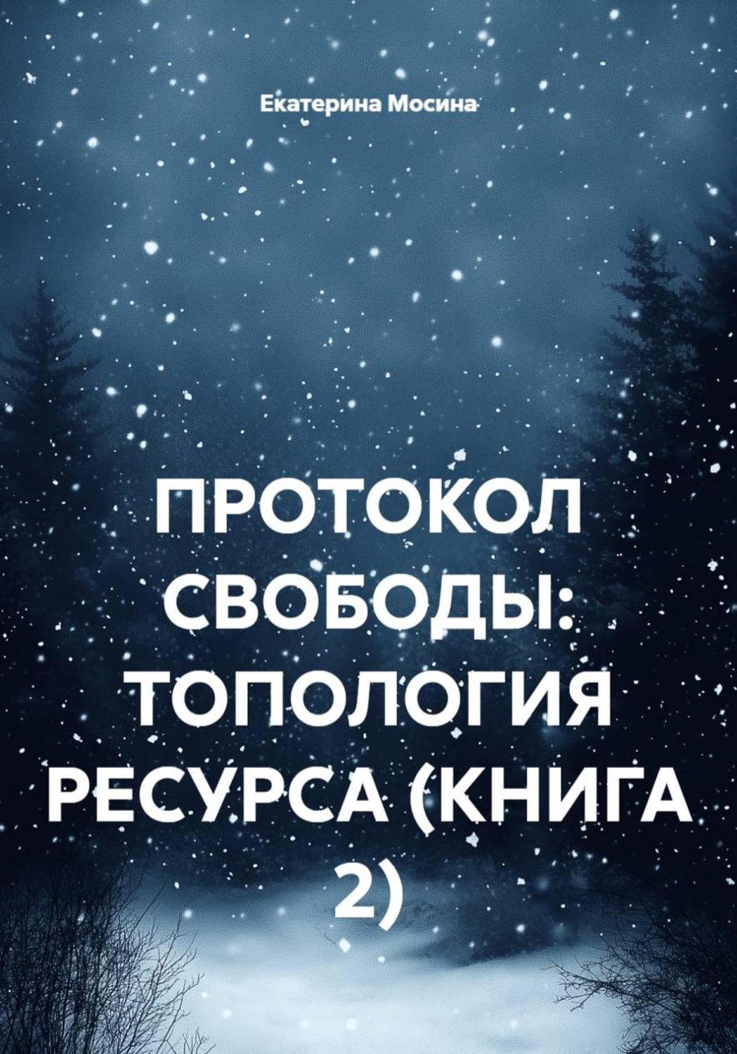 Обложка книги «Протокол свободы: топология ресурса. Книга 2»