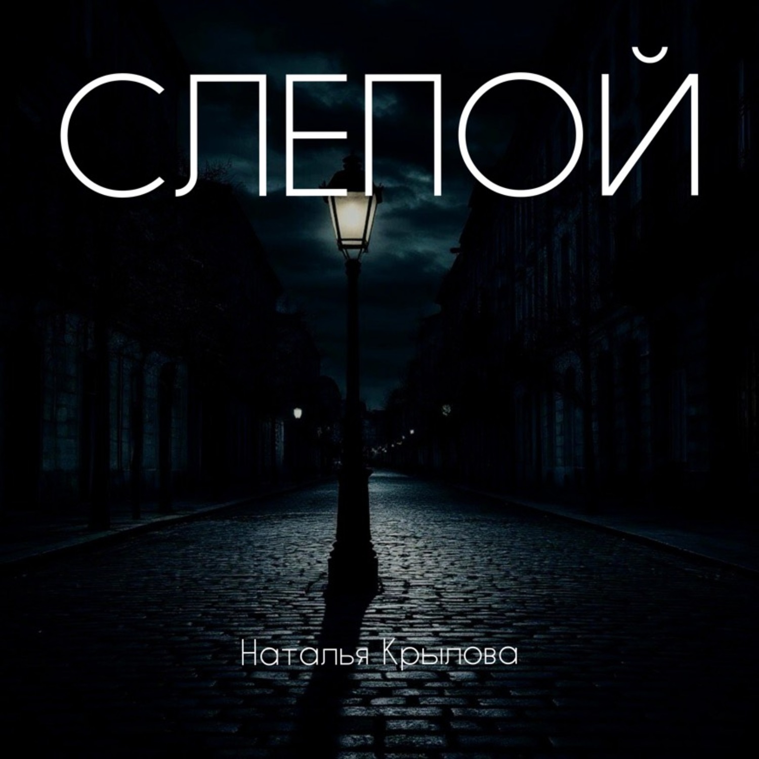 Обложка книги «Слепой»