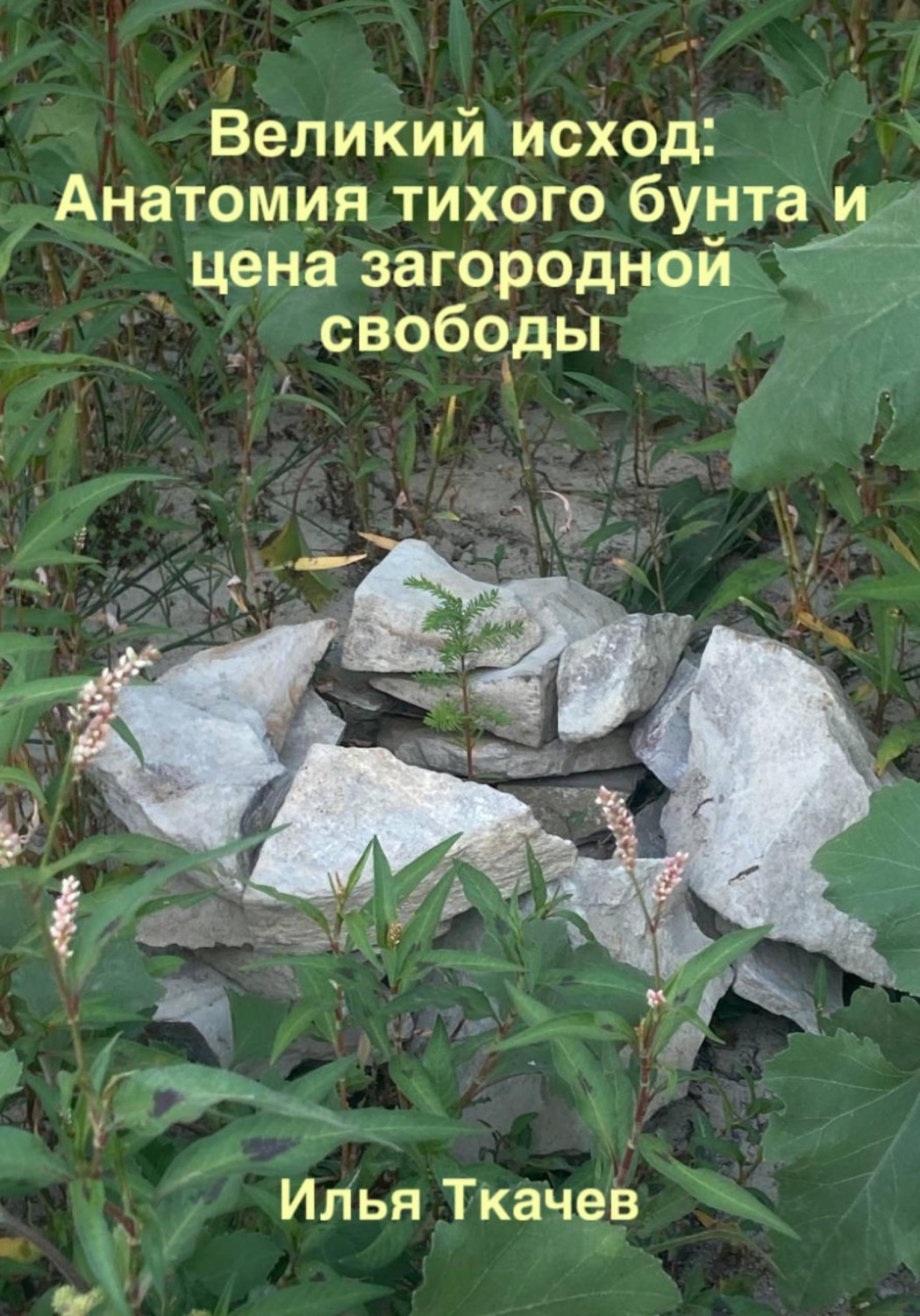 Обложка книги «Великий исход: Анатомия тихого бунта и цена загородной свободы»