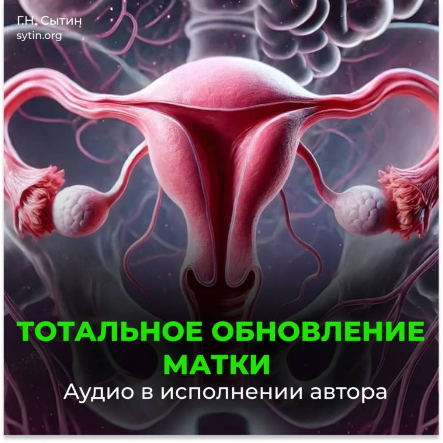 Обложка книги «Тотальное обновление матки. Исцеление от аднексита»