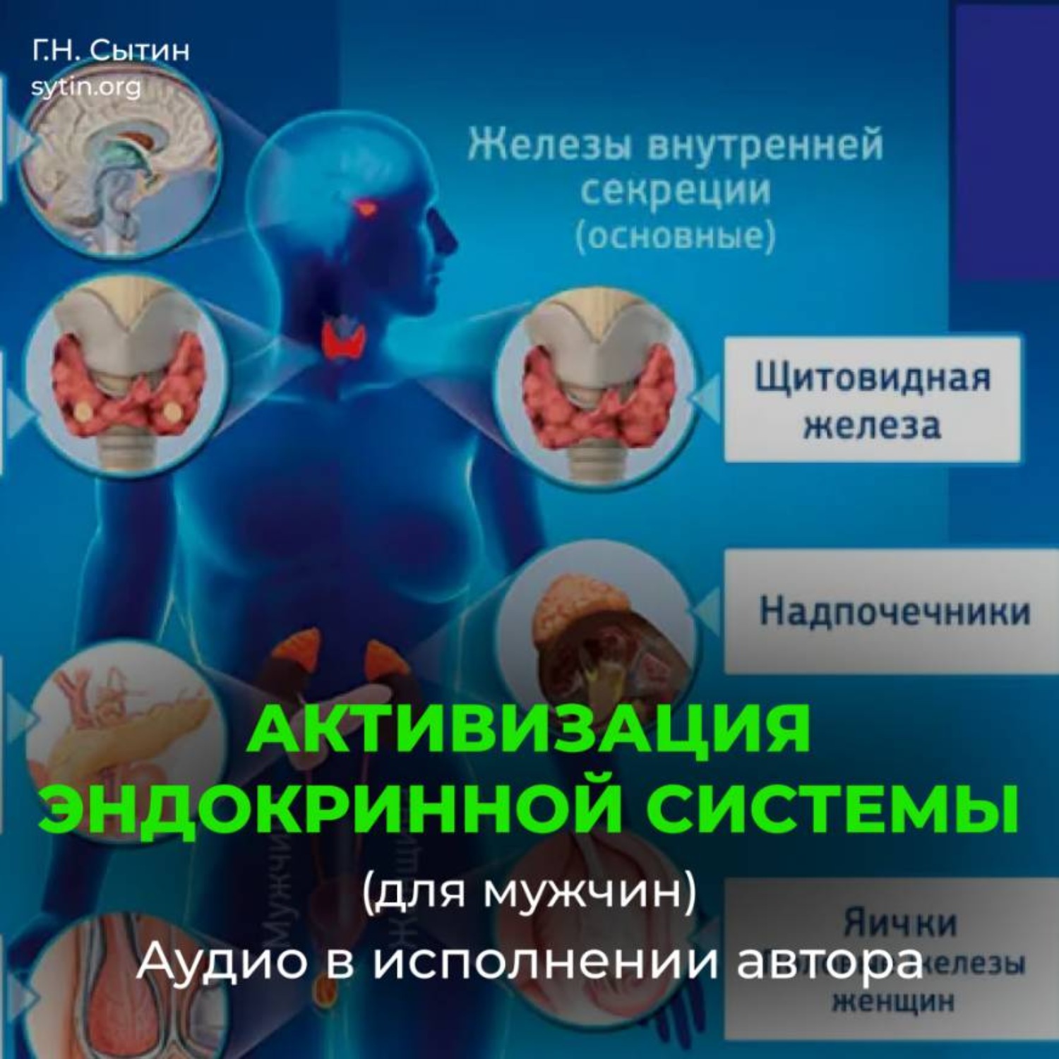 Обложка книги «Активизация эндокринной системы (для мужчин)»