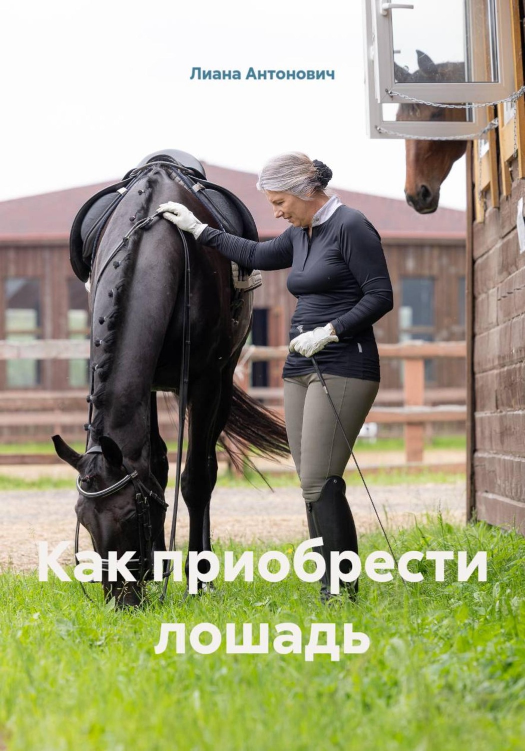 Обложка книги «Как приобрести лошадь»