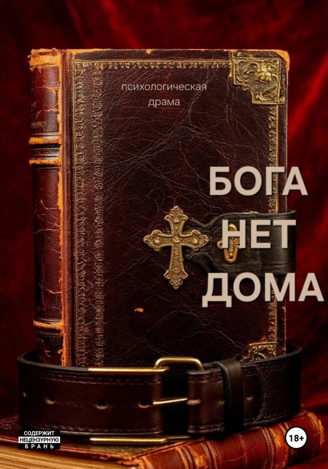 Обложка книги «Бога нет дома»