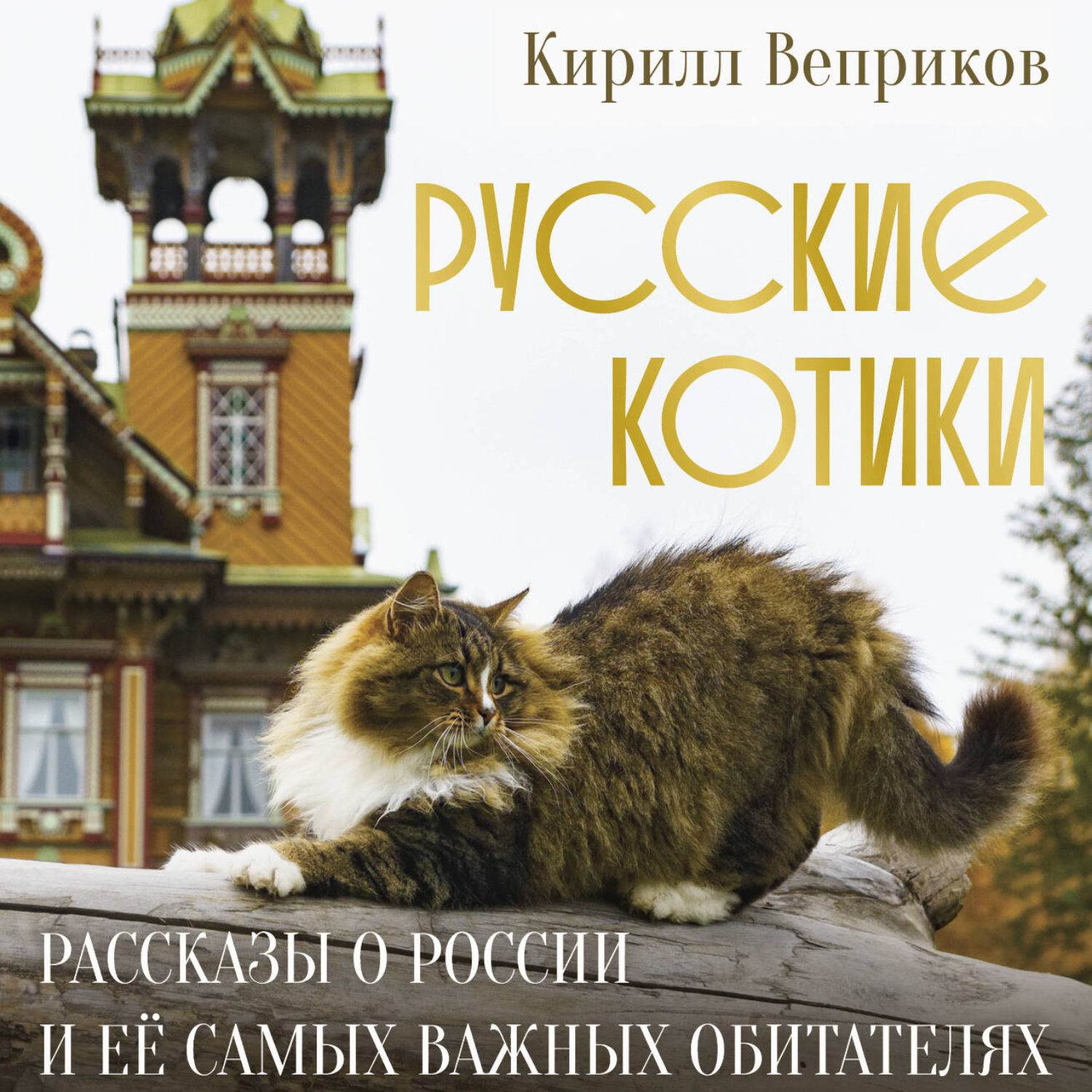 Обложка книги «Русские котики. Рассказы о России и её самых важных обитателях»