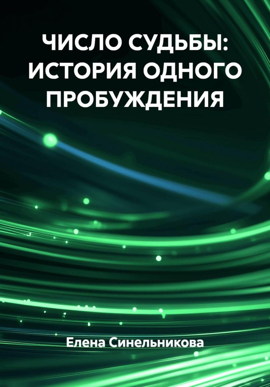 Обложка книги «ЧИСЛО СУДЬБЫ: ИСТОРИЯ ОДНОГО ПРОБУЖДЕНИЯ»