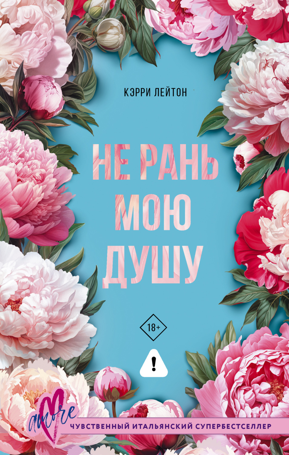 Обложка книги «Не рань мою душу»