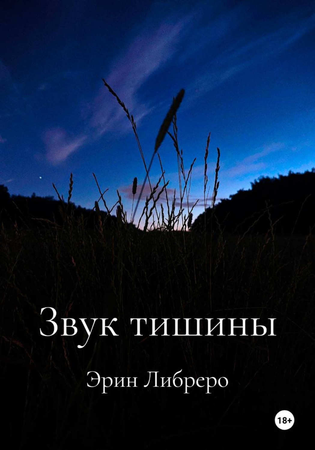 Обложка книги «Звук тишины»