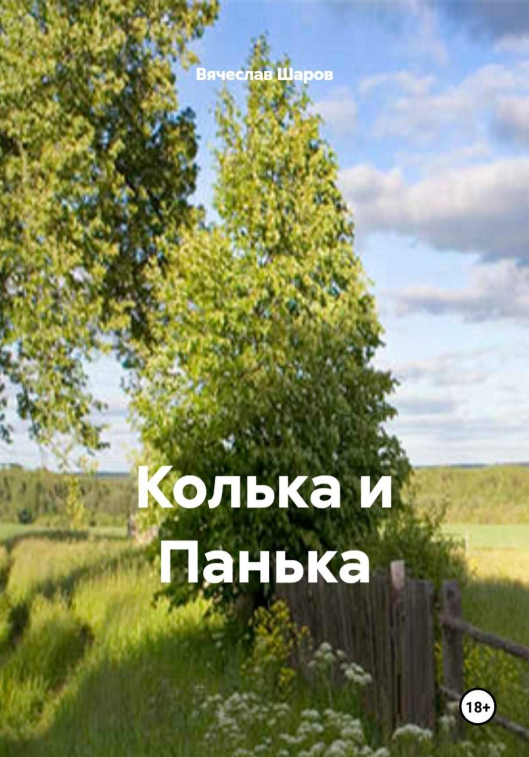 Обложка книги «Колька и Панька»