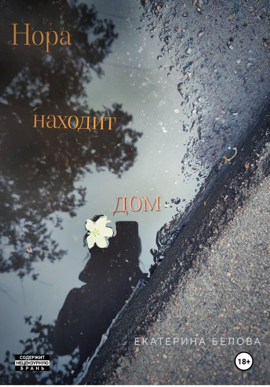 Обложка книги «Нора находит дом»