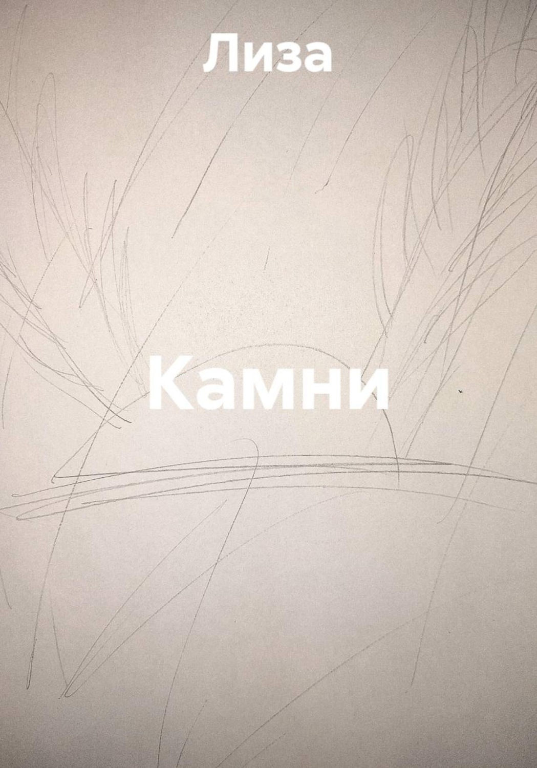 Обложка книги «Камни»