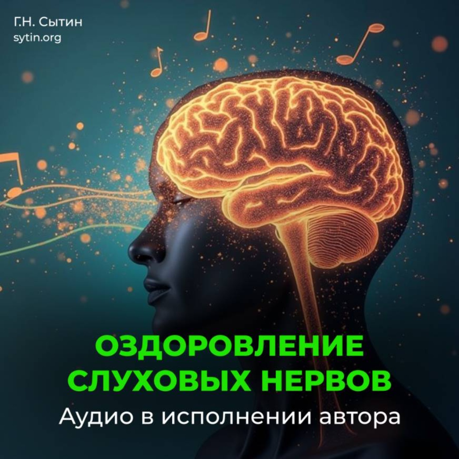 Обложка книги «Оздоровление слуховых нервов»
