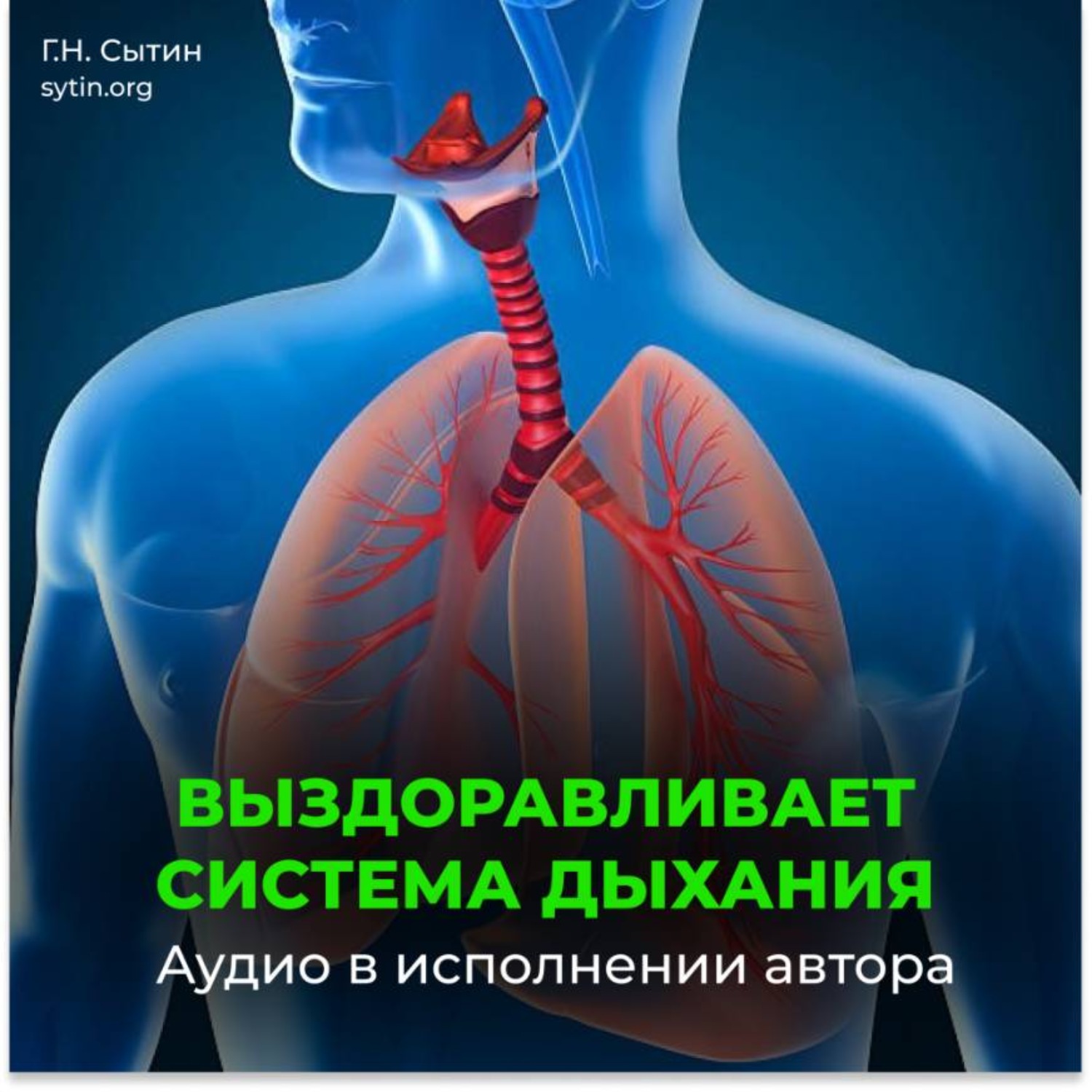 Обложка книги «Дыхательные пути»