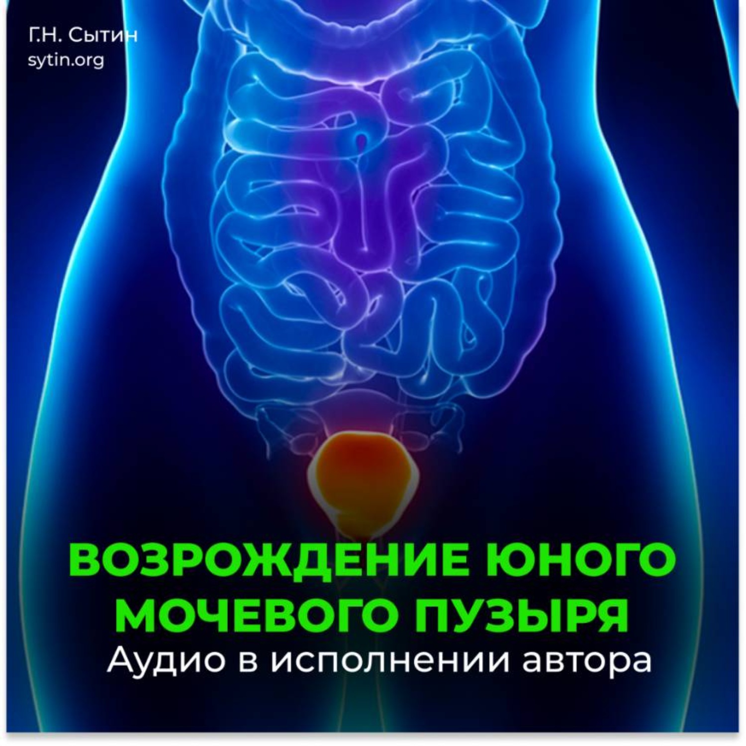 Обложка книги «Мочевой пузырь (для мужчин)»