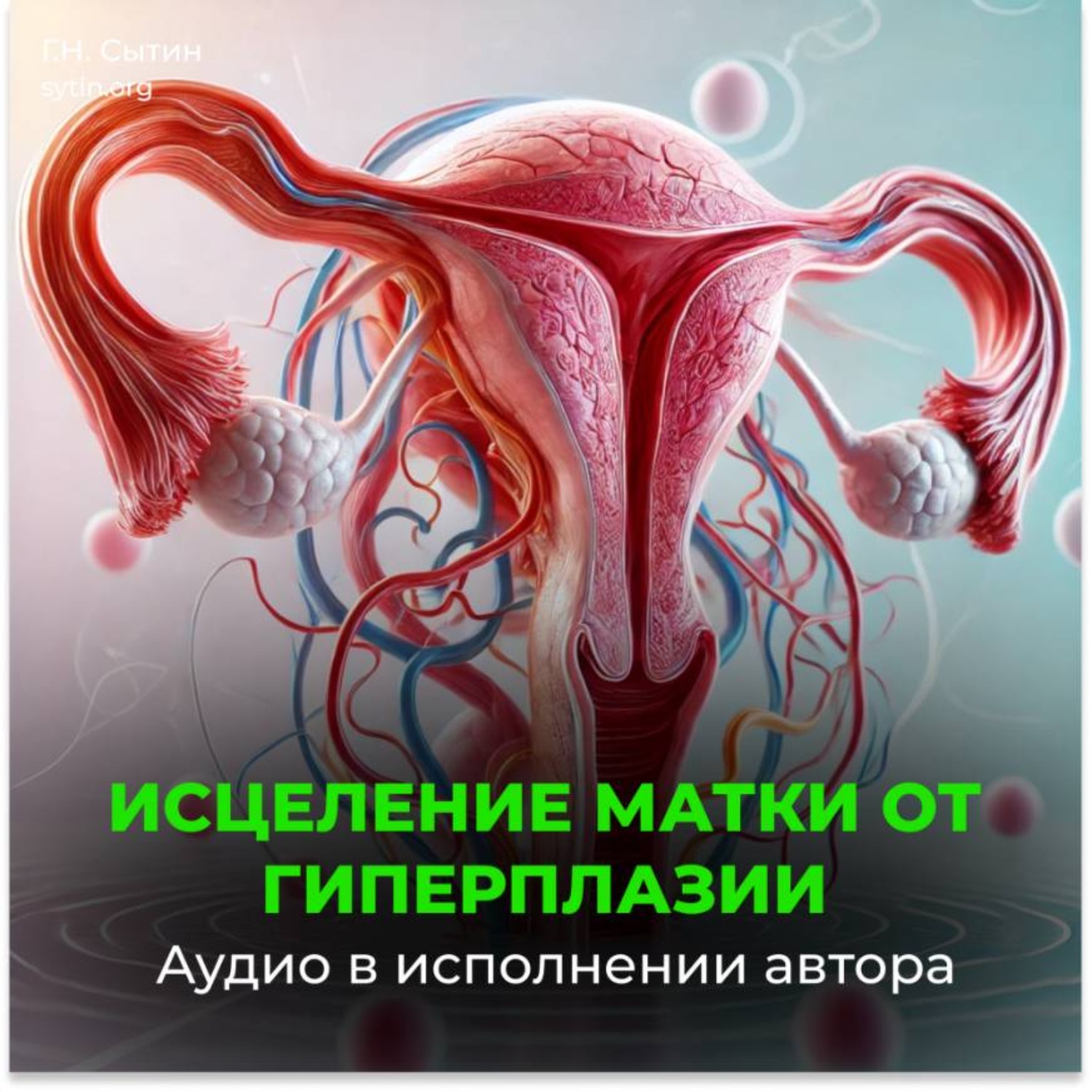 Обложка книги «Исцеление от гиперплазии матки»
