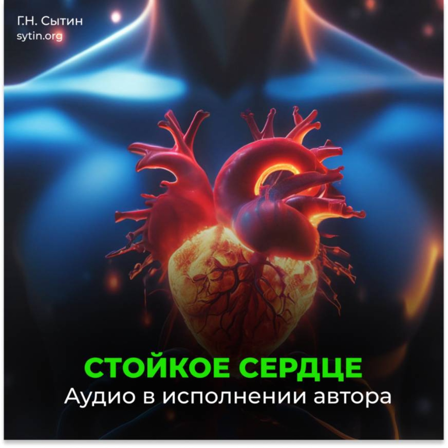 Обложка книги «Стойкое сердце»