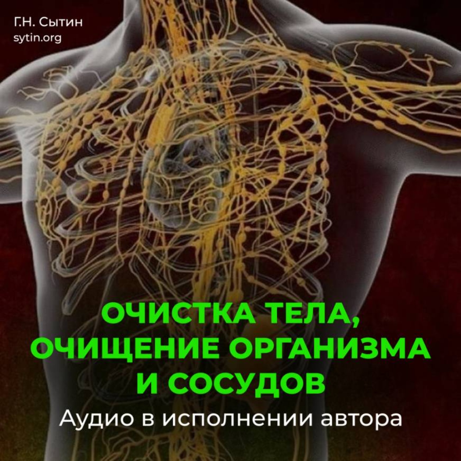 Обложка книги «Очистка тела, очищение организма и сосудов»