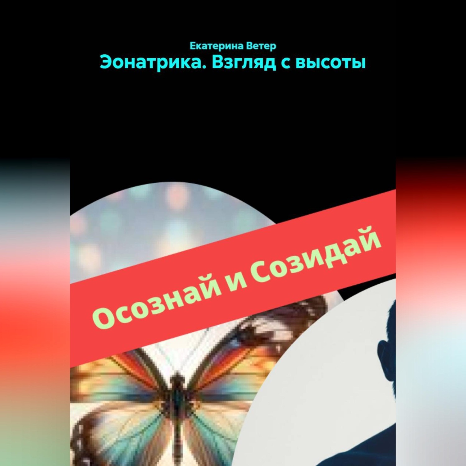 Обложка книги «Эонатрика. Взгляд с высоты»