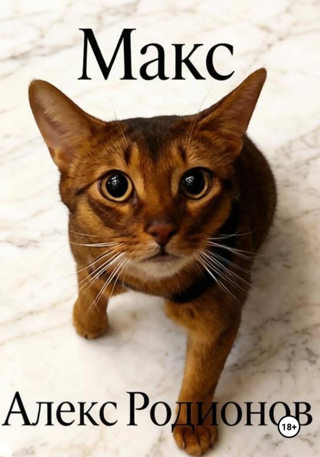 Обложка книги «Макс»