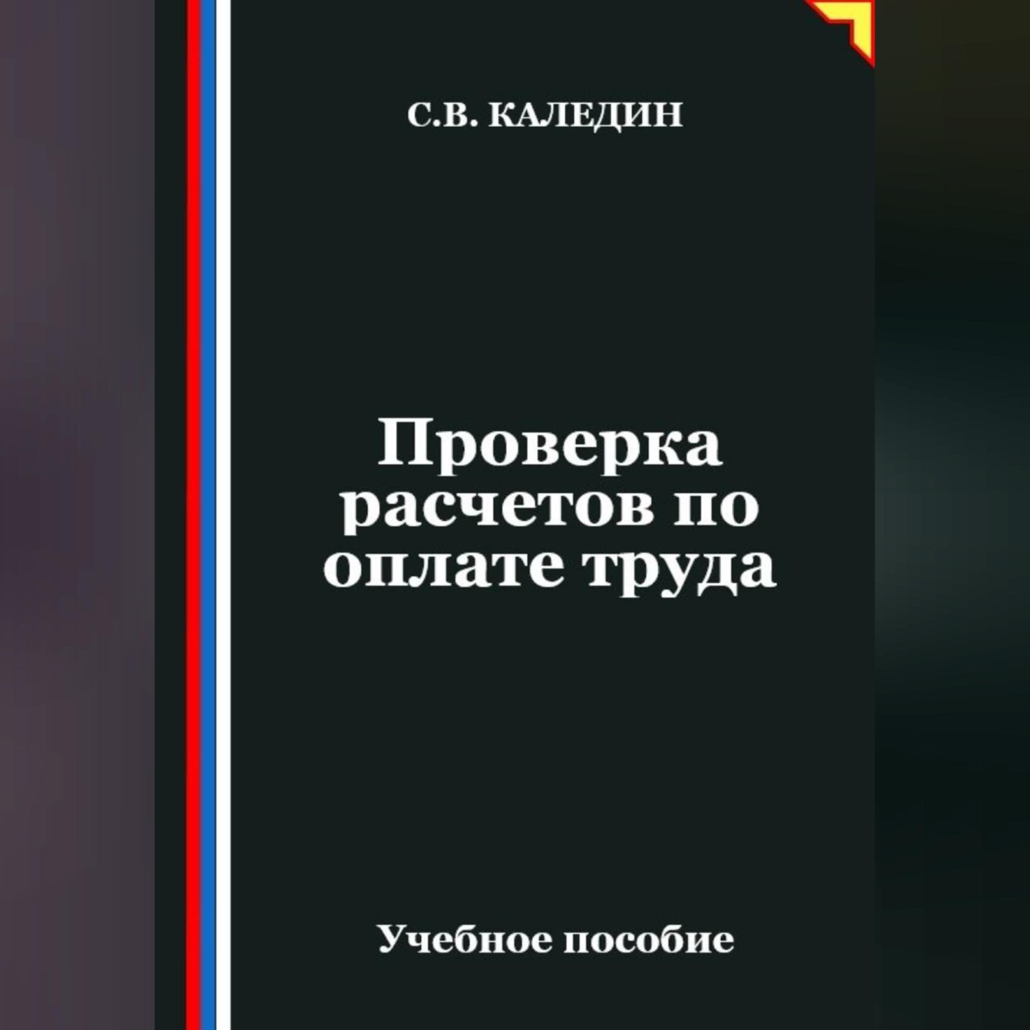 Обложка книги «Проверка расчетов по оплате труда»