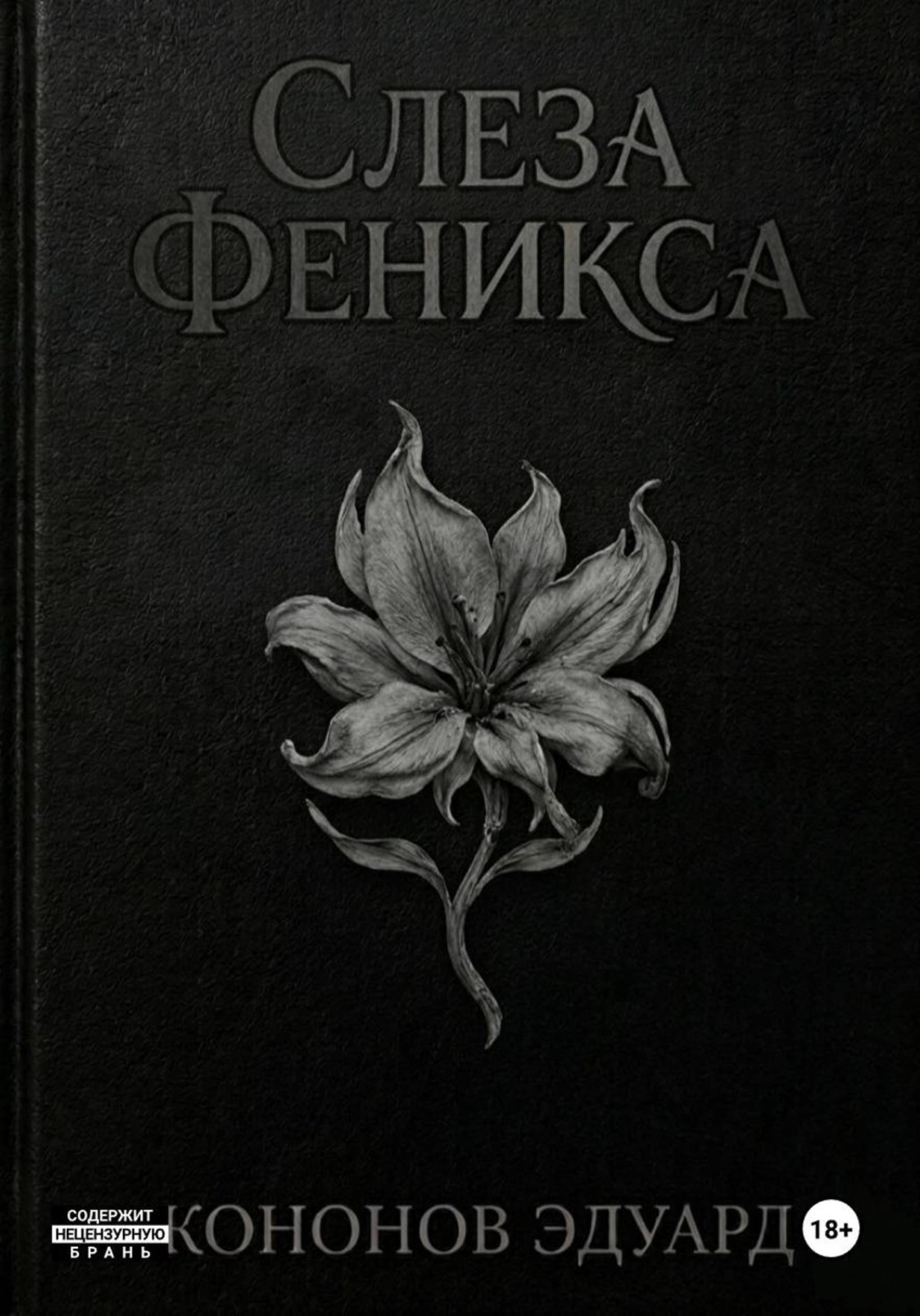 Обложка книги «Слеза Феникса»