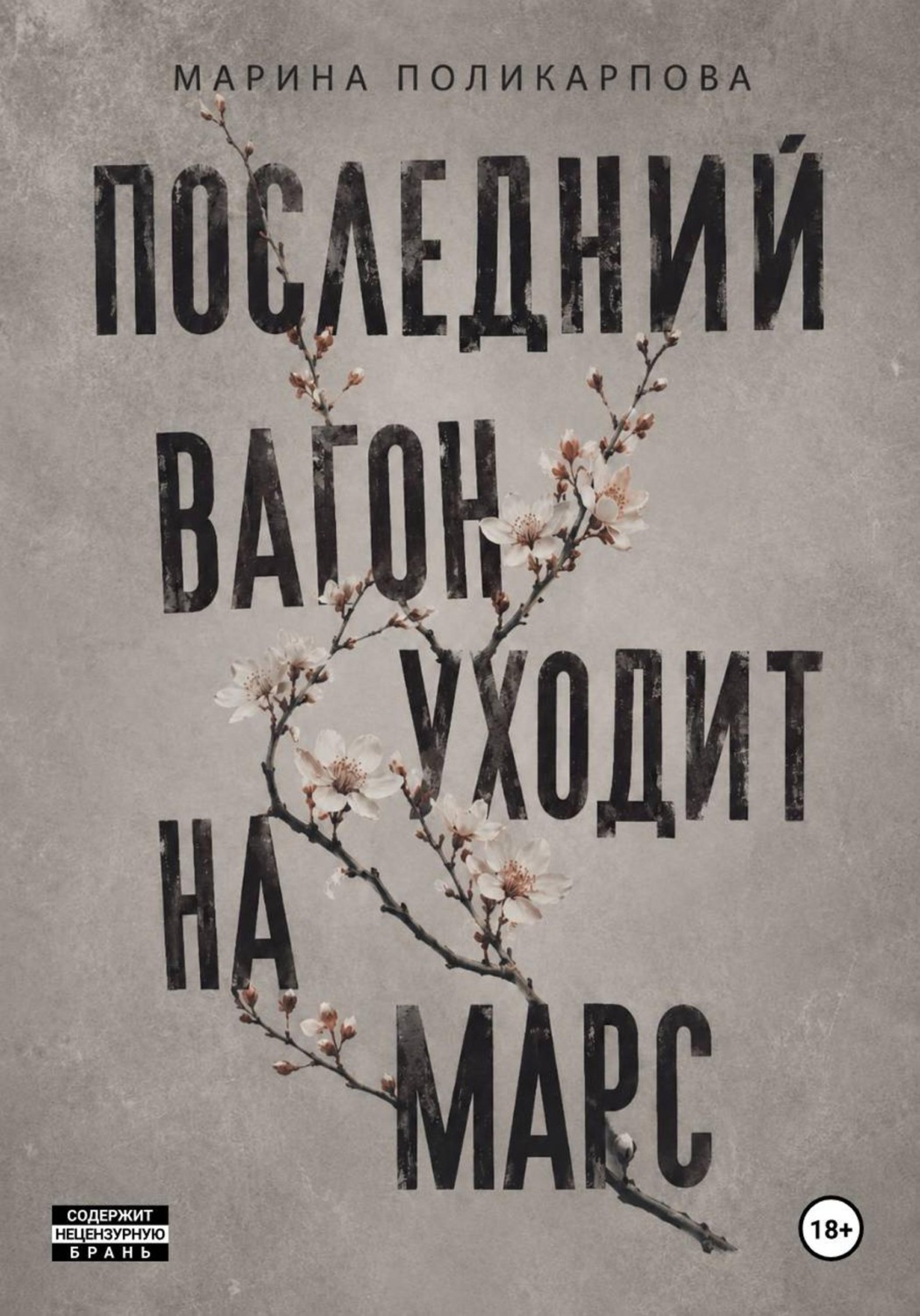Обложка книги «Последний вагон уходит на Марс»