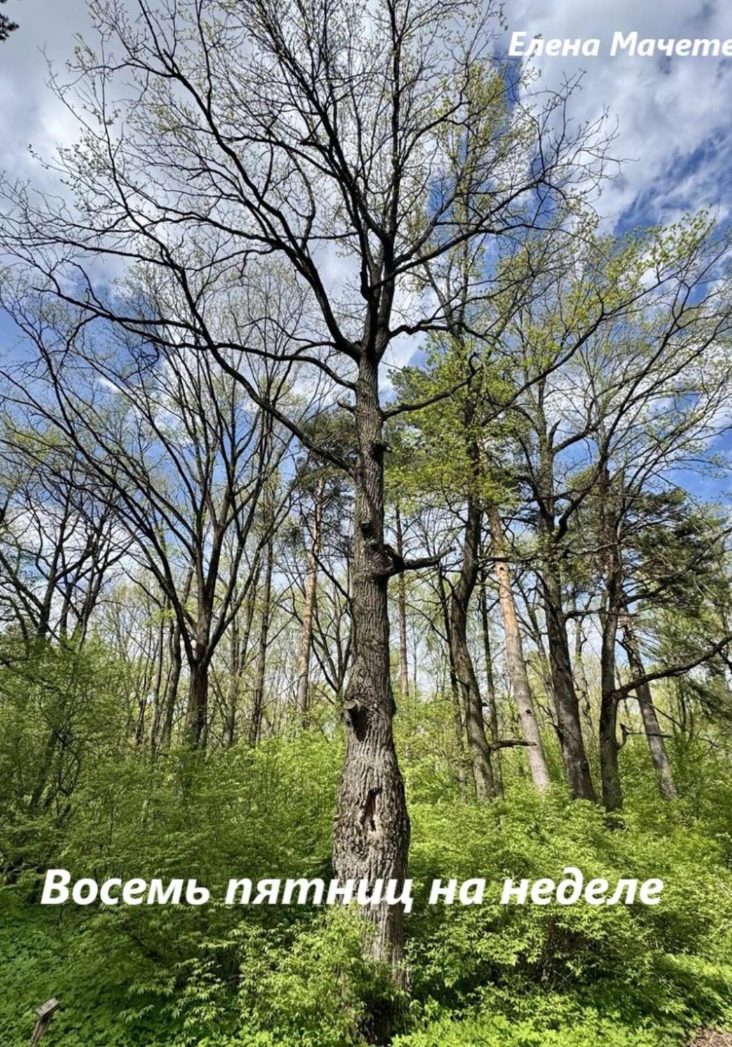 Обложка книги «Восемь пятниц на неделе»