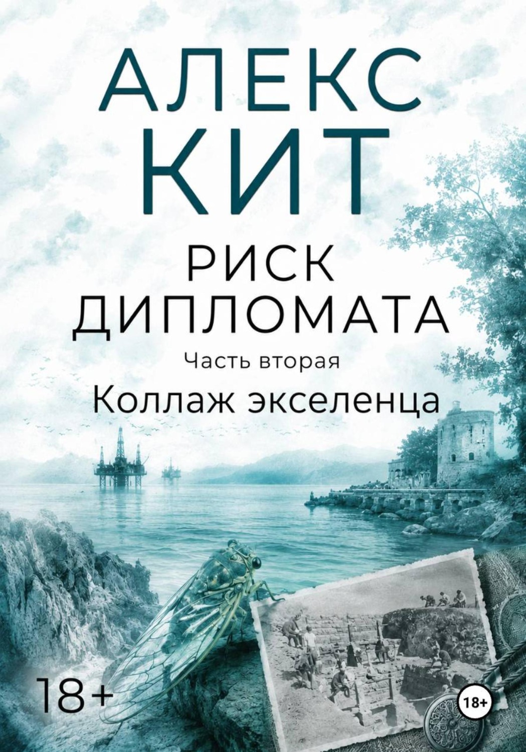 Обложка книги «Коллаж экселенца»