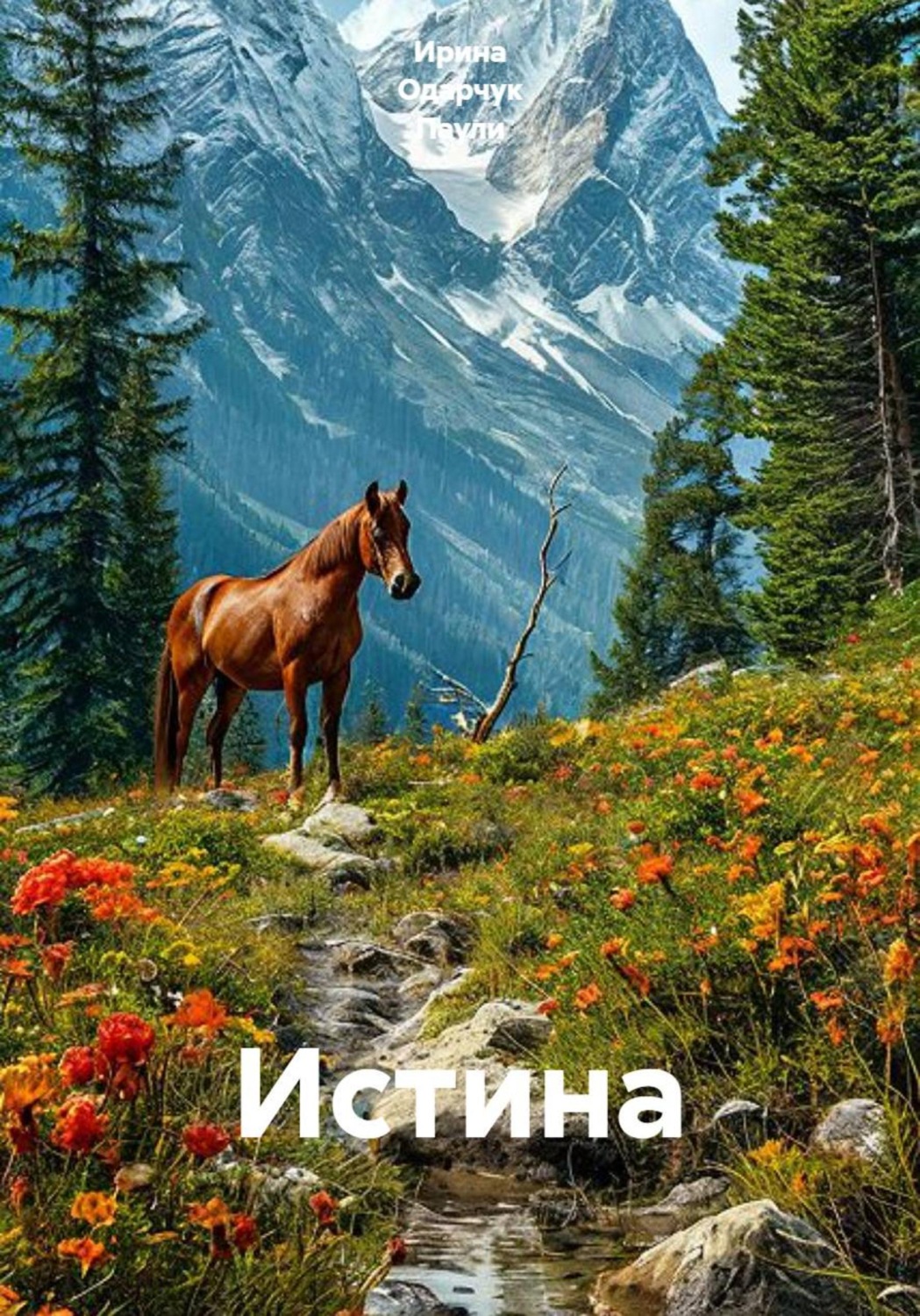Обложка книги «Истина»