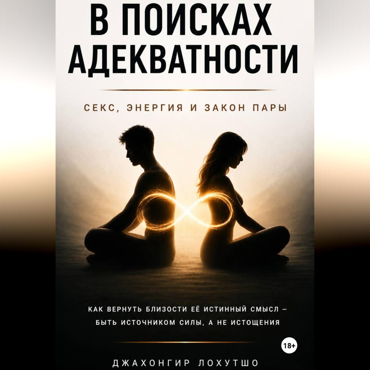 Обложка книги «В поисках адекватности»