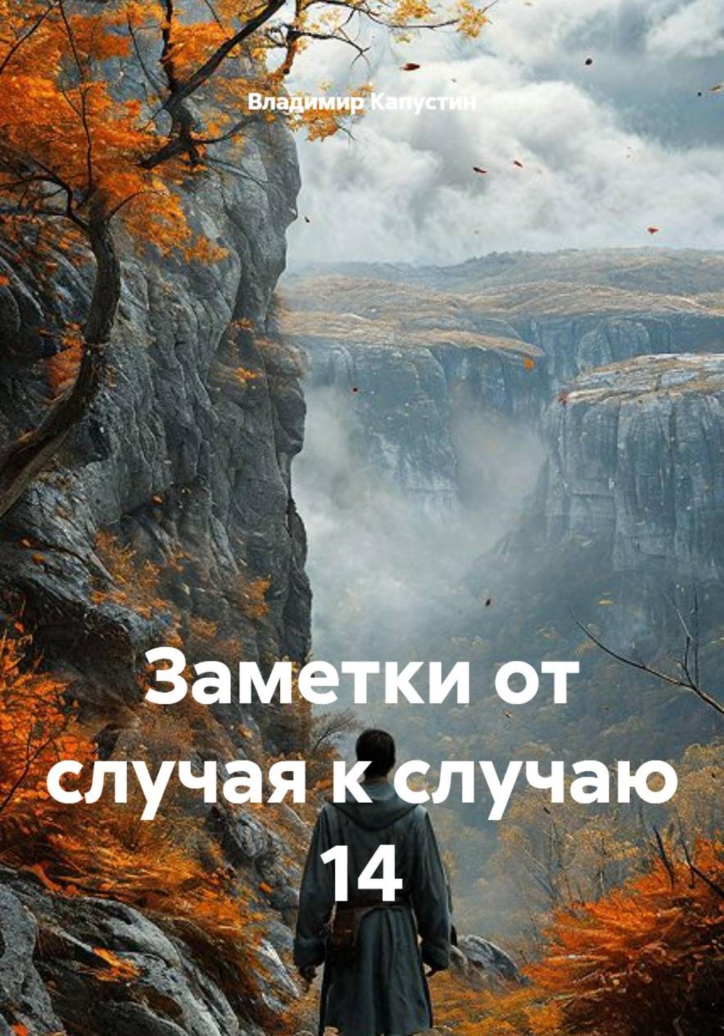 Обложка книги «Заметки от случая к случаю 14»