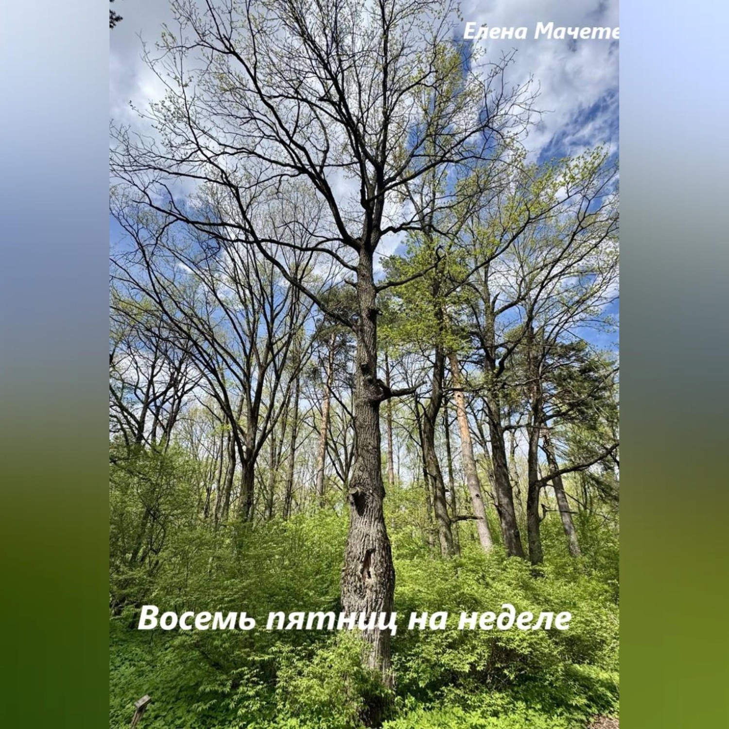 Обложка книги «Восемь пятниц на неделе»