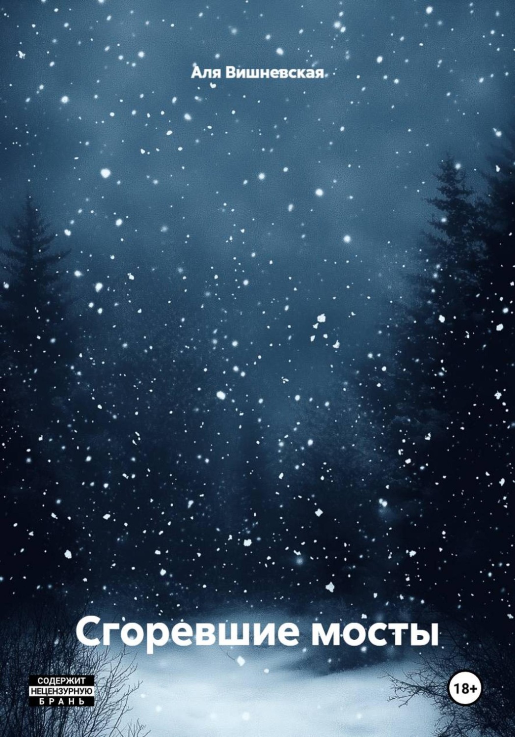 Обложка книги «Сгоревшие мосты»