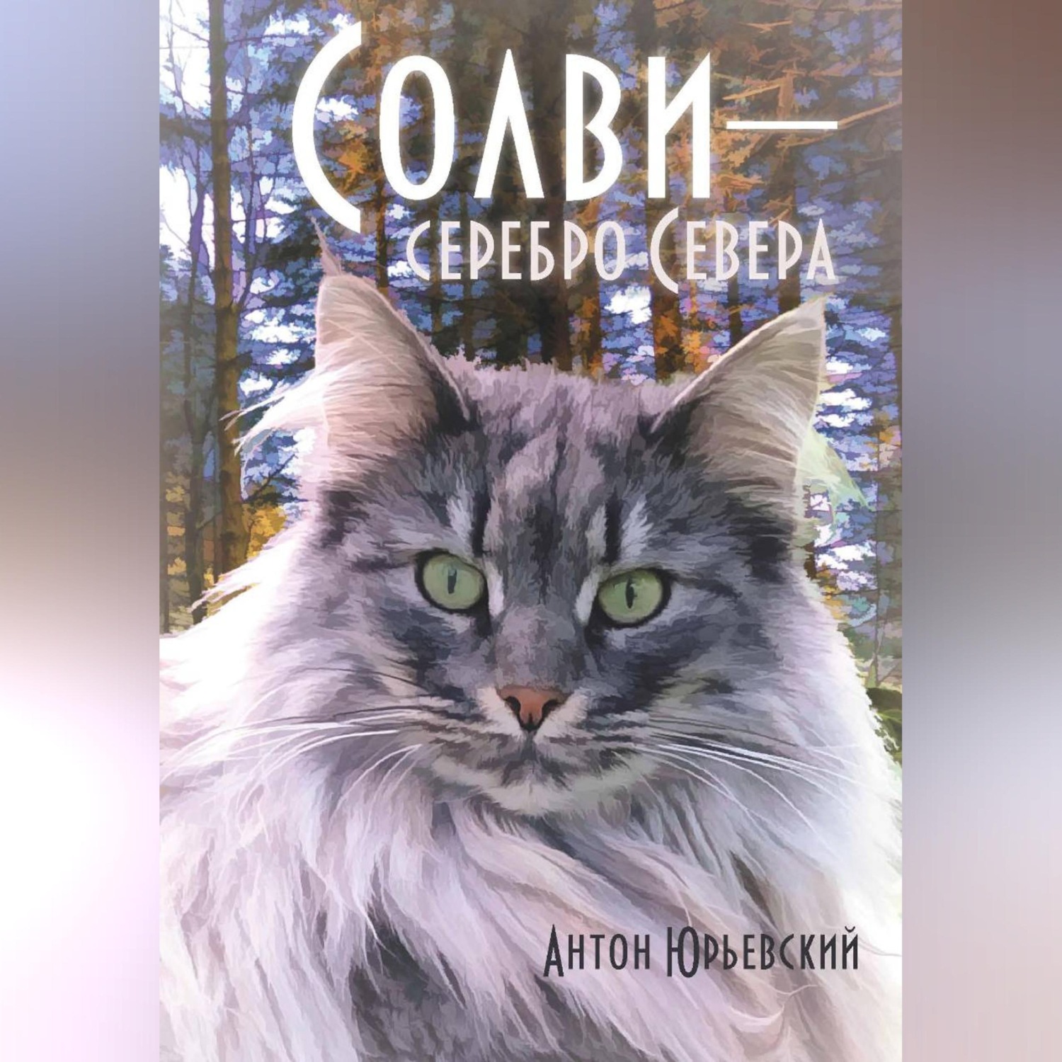 Обложка книги «Солви - серебро Севера»