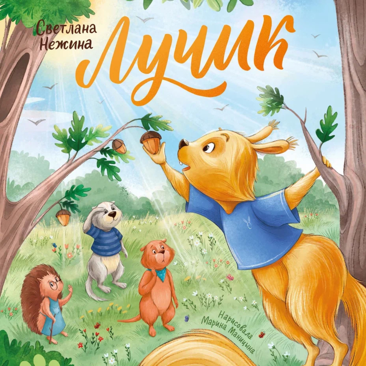 Обложка книги «Лучик»