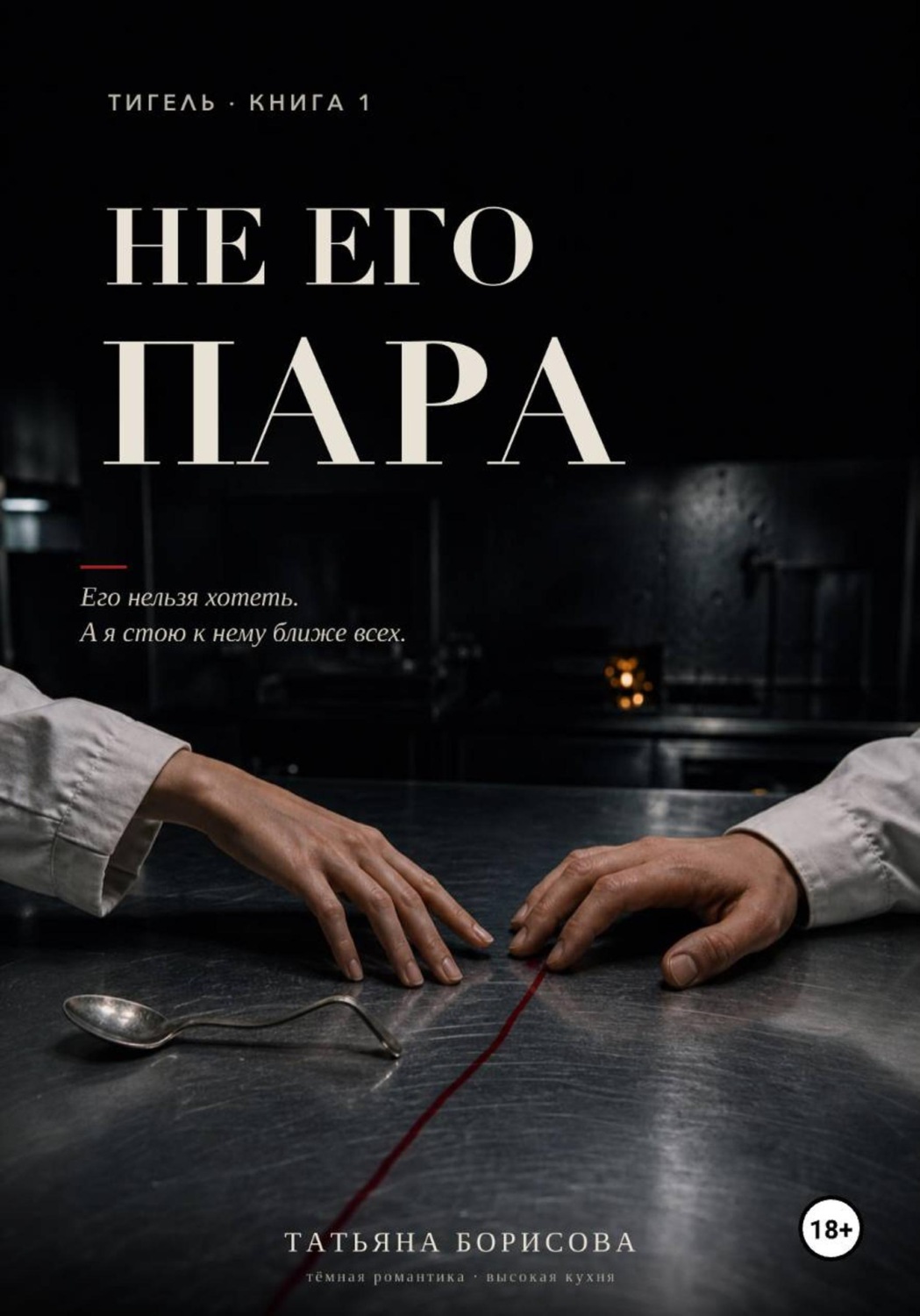 Обложка книги «Не его пара»
